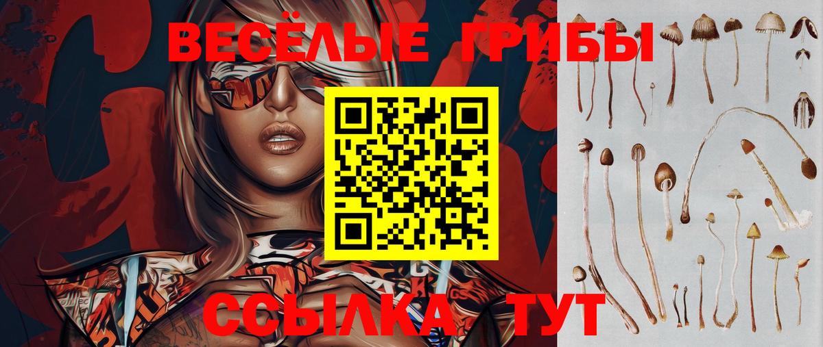 Пермь  Галлюциногенные грибы MAGIC MUSHROOMS  Вход с VPN 