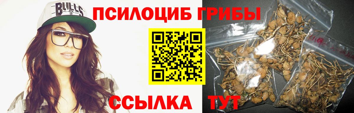 Галлюциногенные грибы Psilocybine cubensis Пермь